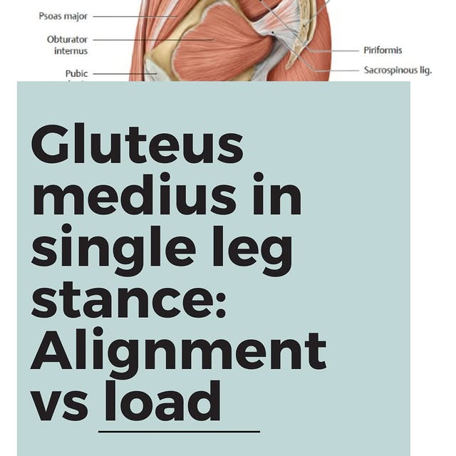 Post by anatomyofpilates