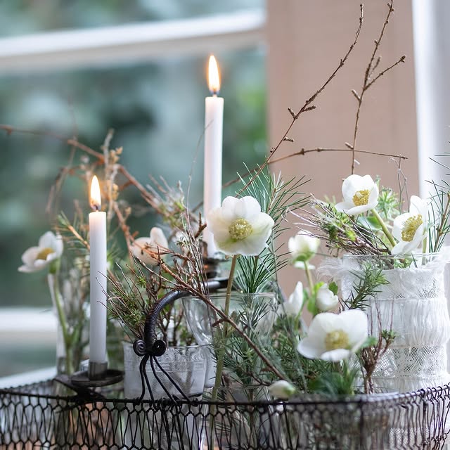 Post by timeundvision_die_blumenfee