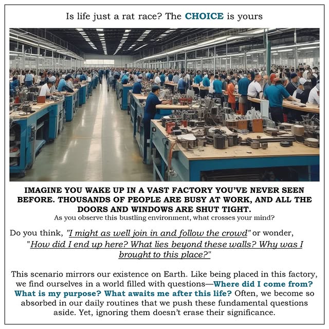 Post by life.love.test