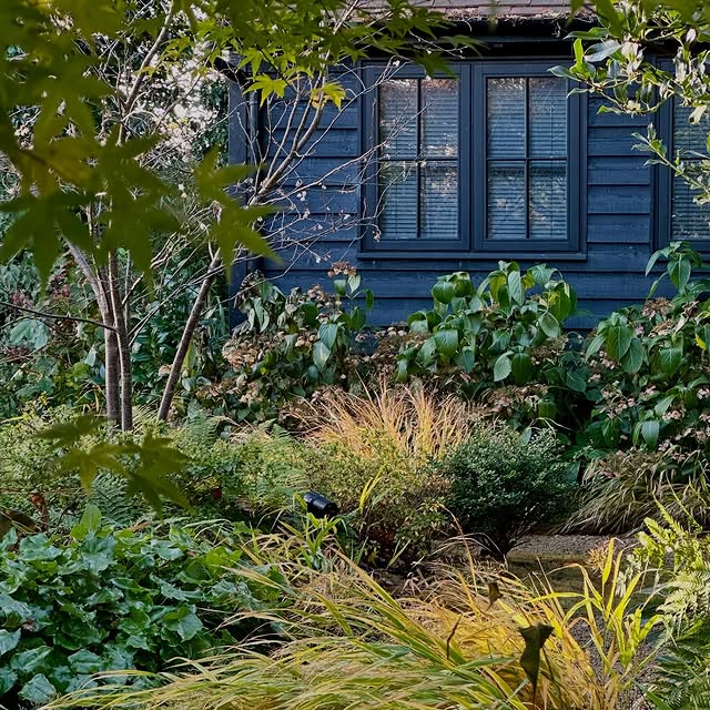 Post by acreswildgardendesign