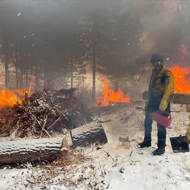 Post by caughtthefirebug