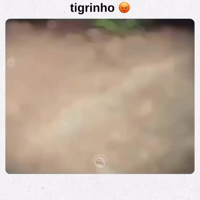 Post by rodadas_gratis__1