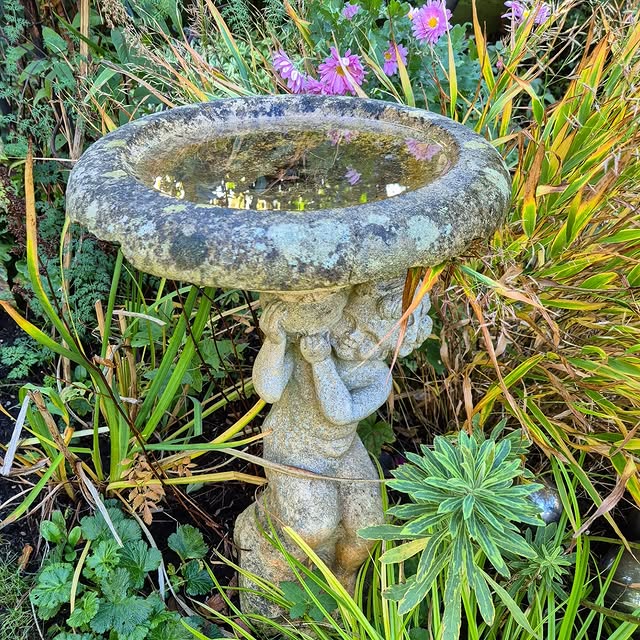 Post by the_hampshire_gardener