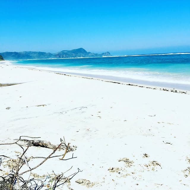 Post by sharondhillon