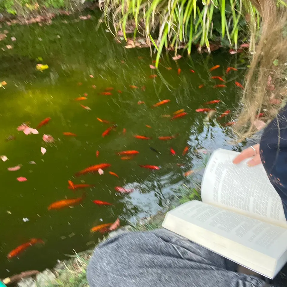 +*•. Peach girl .•*+'s profile picture