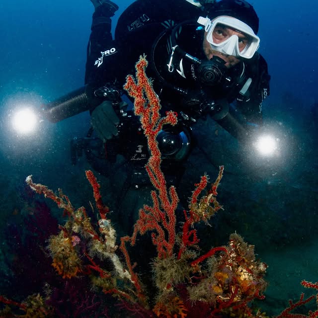 Post by davide_nautilus