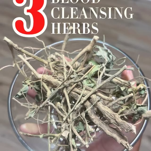 Post by casinothehero