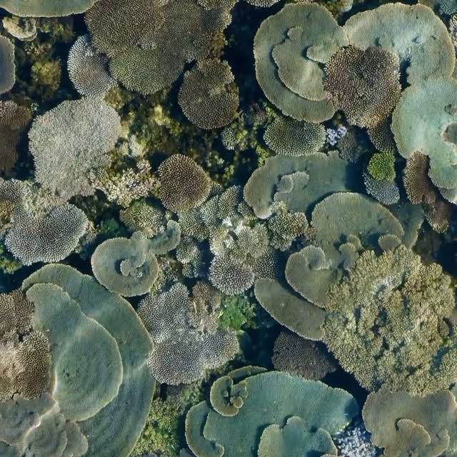 Post by alexkyddphoto