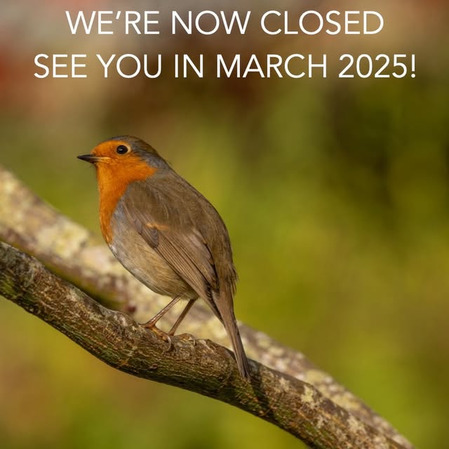 Post by wildsidegarden