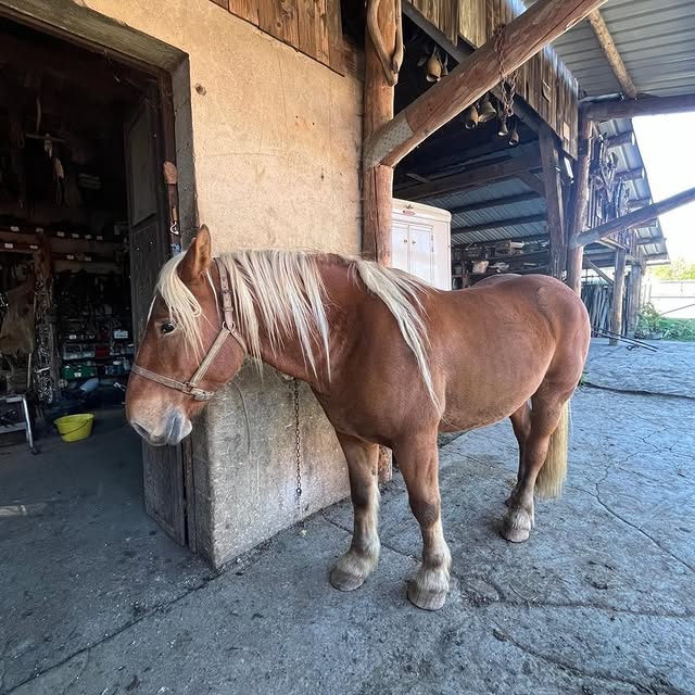 Post by domainedesceaux