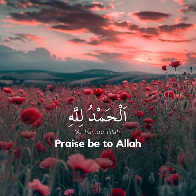 Post by quransayings