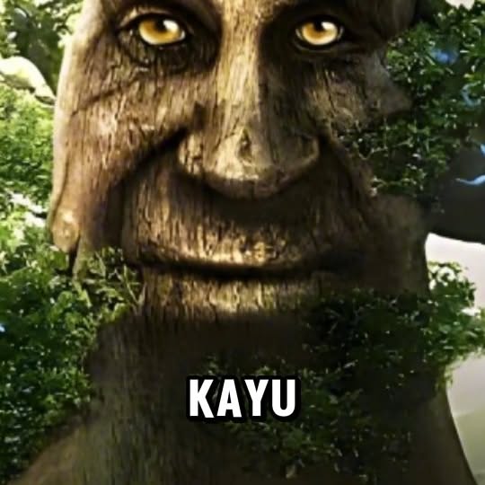 Post by material.raaaqil