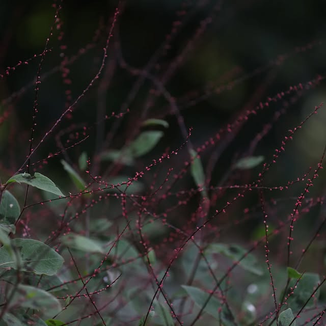 Post by basilikum_und_kaktus