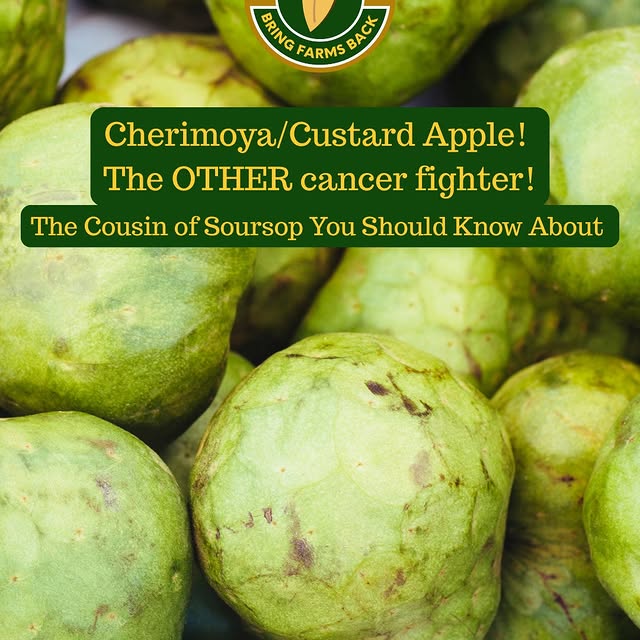 Post by atlantaharvest