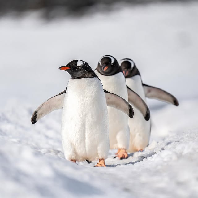 Post by jferraragallery