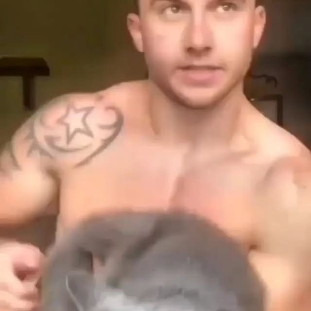 Post by bestcatsfans