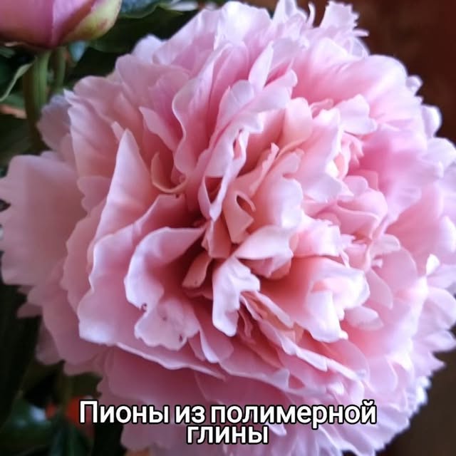 Post by galinakhabibova