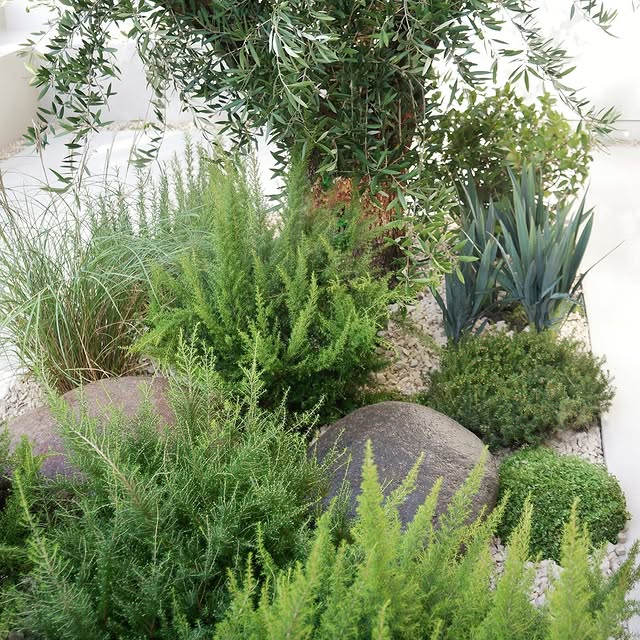 Post by eastlondongardendesign