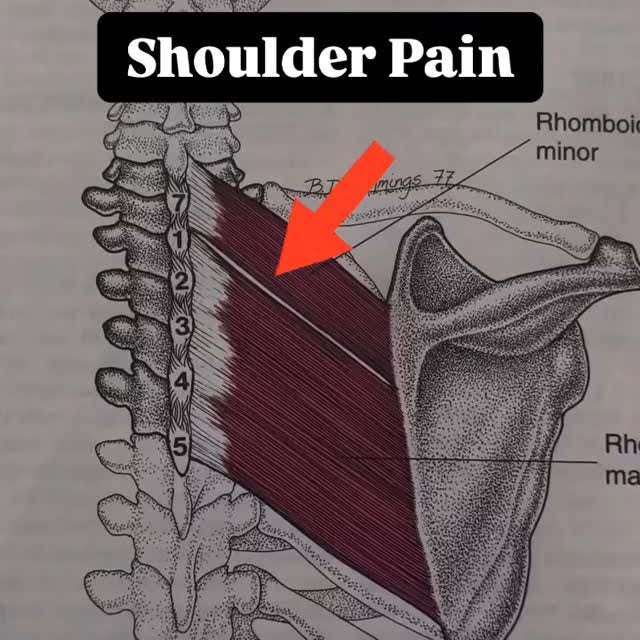 Post by medicalmassagesd