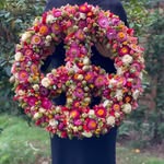 Sandy Hummel-Stötzer's profile picture