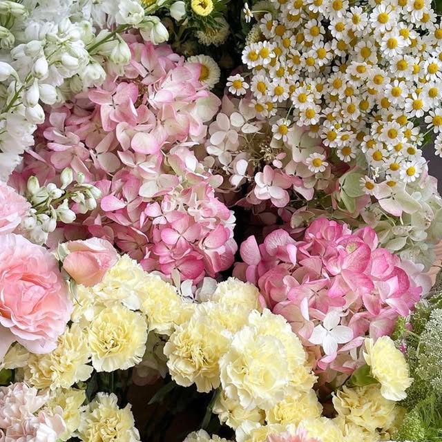 Post by nelavalentiina