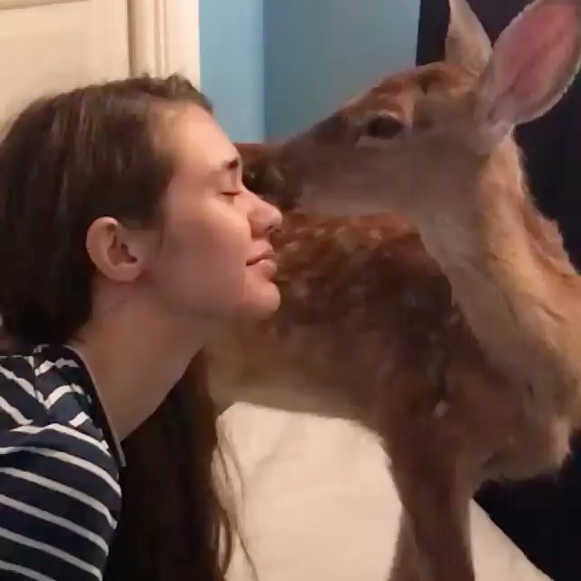 Post by rescuedogeso