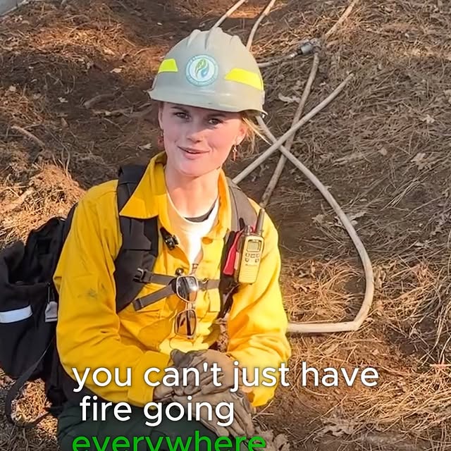 Post by thejosephpowell