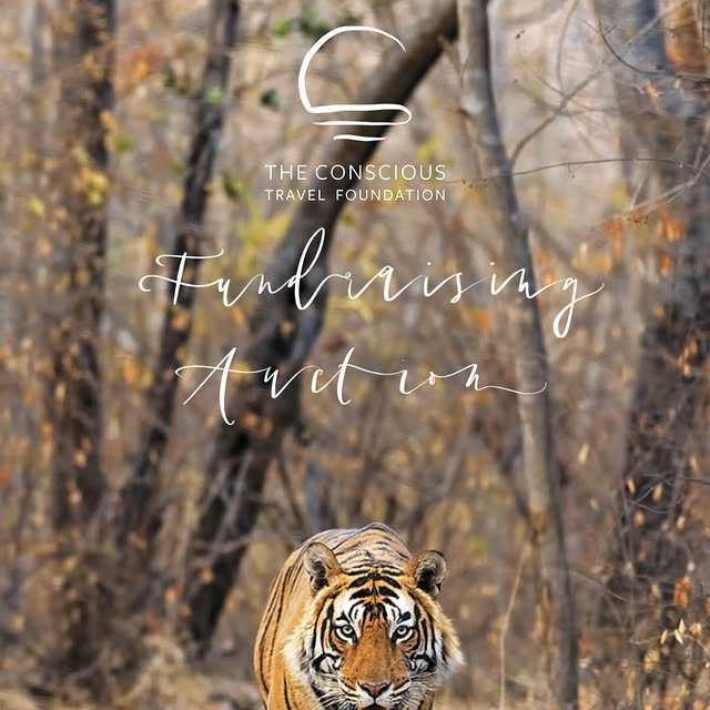 Post by awprivatetravel