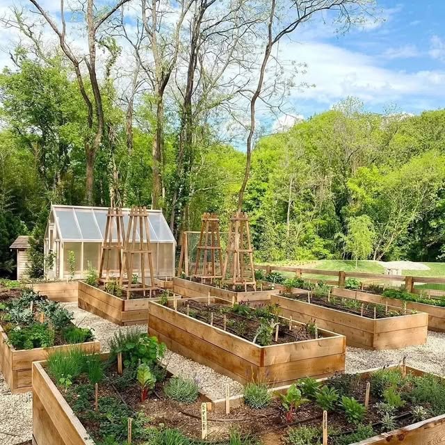 Post by daily_gardening_life