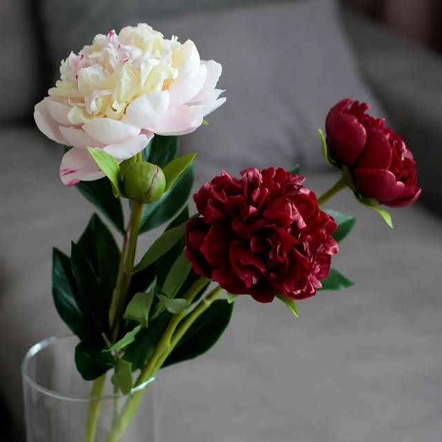 Post by marinagolovina21