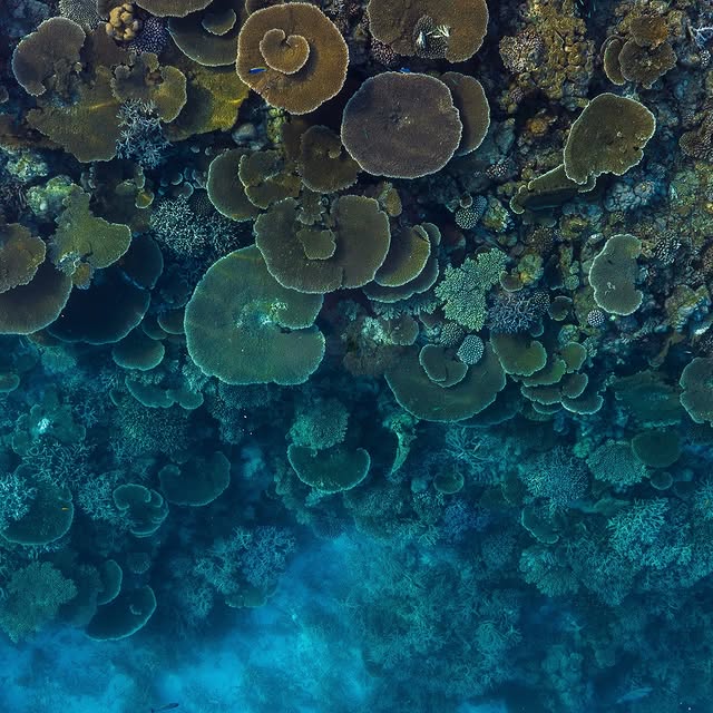 Post by alexkyddphoto