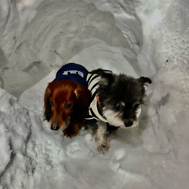 Post by kanayama_chika