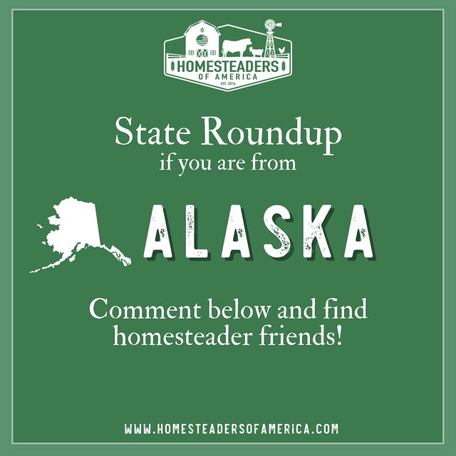 Post by homesteadersofamerica