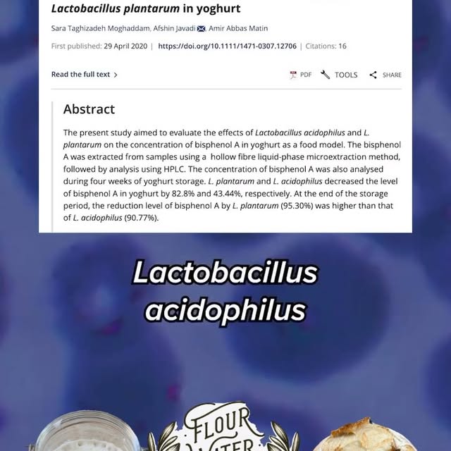 Post by flourwatersalt_sourdough