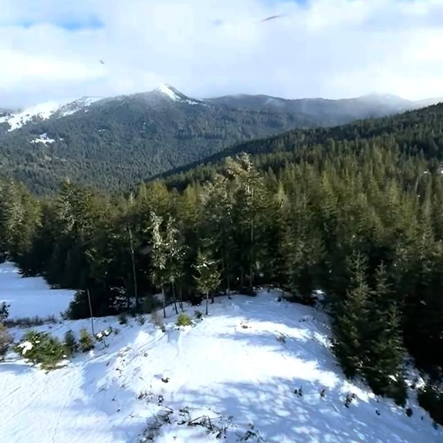 Post by calfirelocal2881