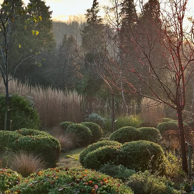 Post by acreswildgardendesign