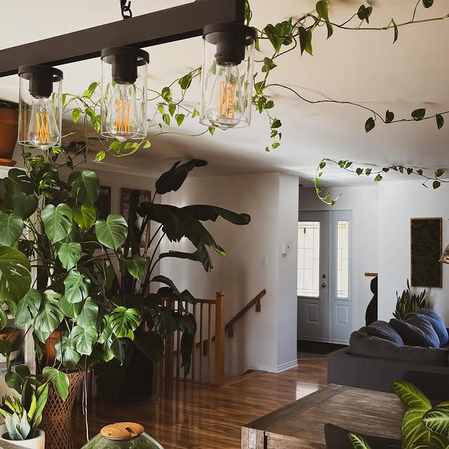 Post by houseofbotanical