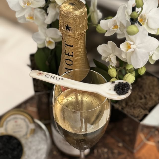 Post by theoysterbox