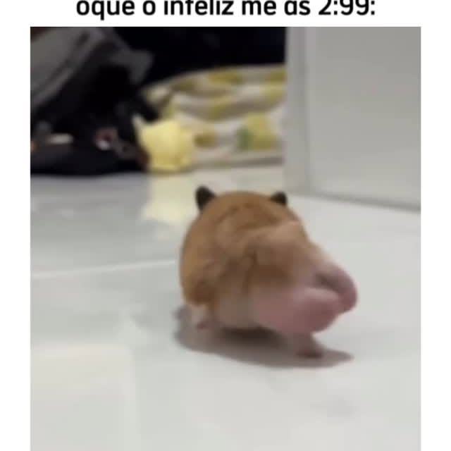 Post by gu1lh3rme_jesus