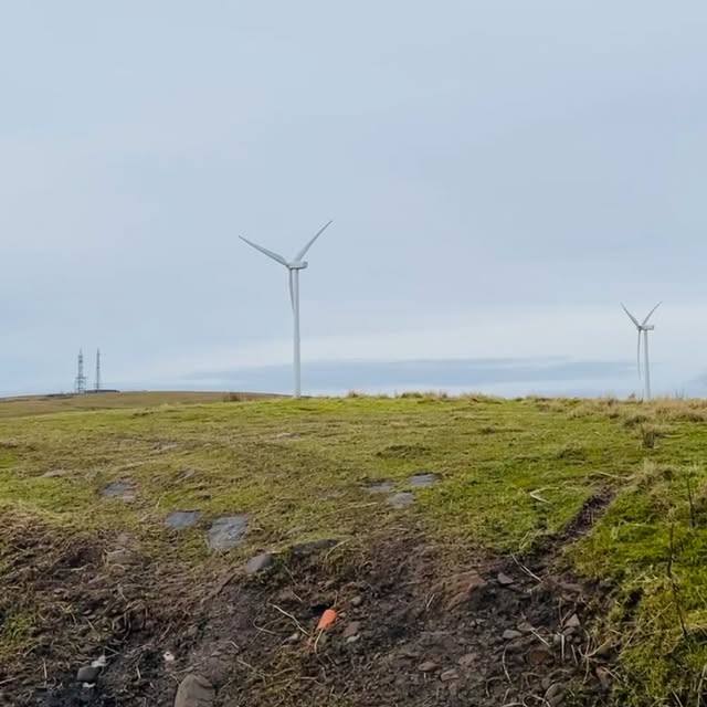 Post by ente_london_