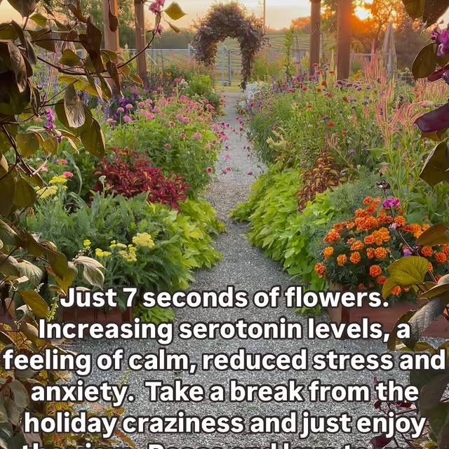 Post by bochnerfarms