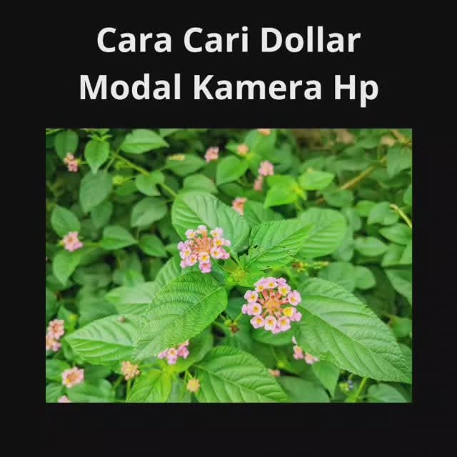 Post by triariawan95