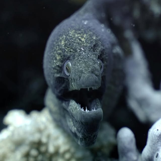 Post by jakemasondiving