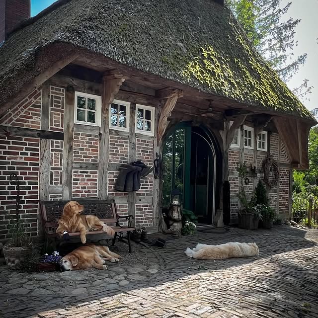 Post by diemitdemlandhaus