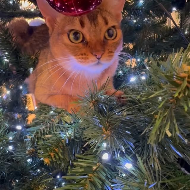 Post by poli_na_malinaaa