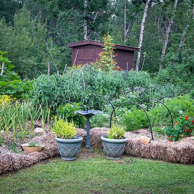 Post by natures_architects