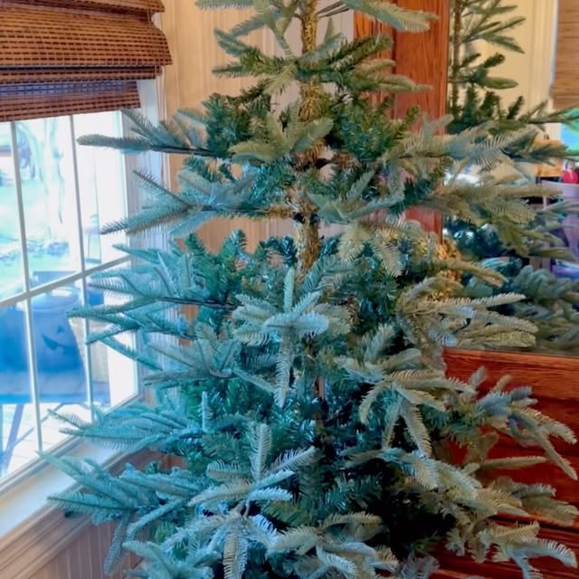 Post by thecharminghare