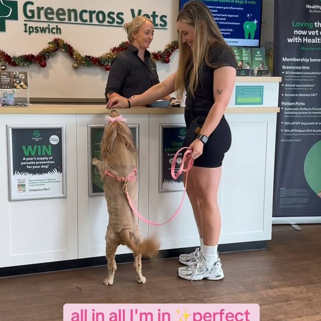 Post by greencrossvets
