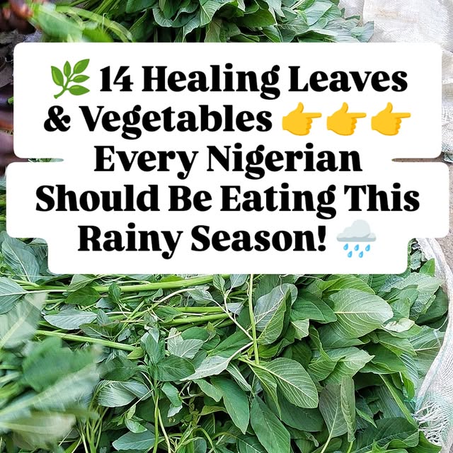 Post by maintainchills