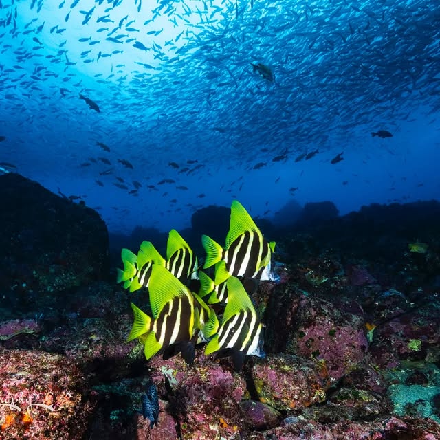 Post by wildkirinphotography